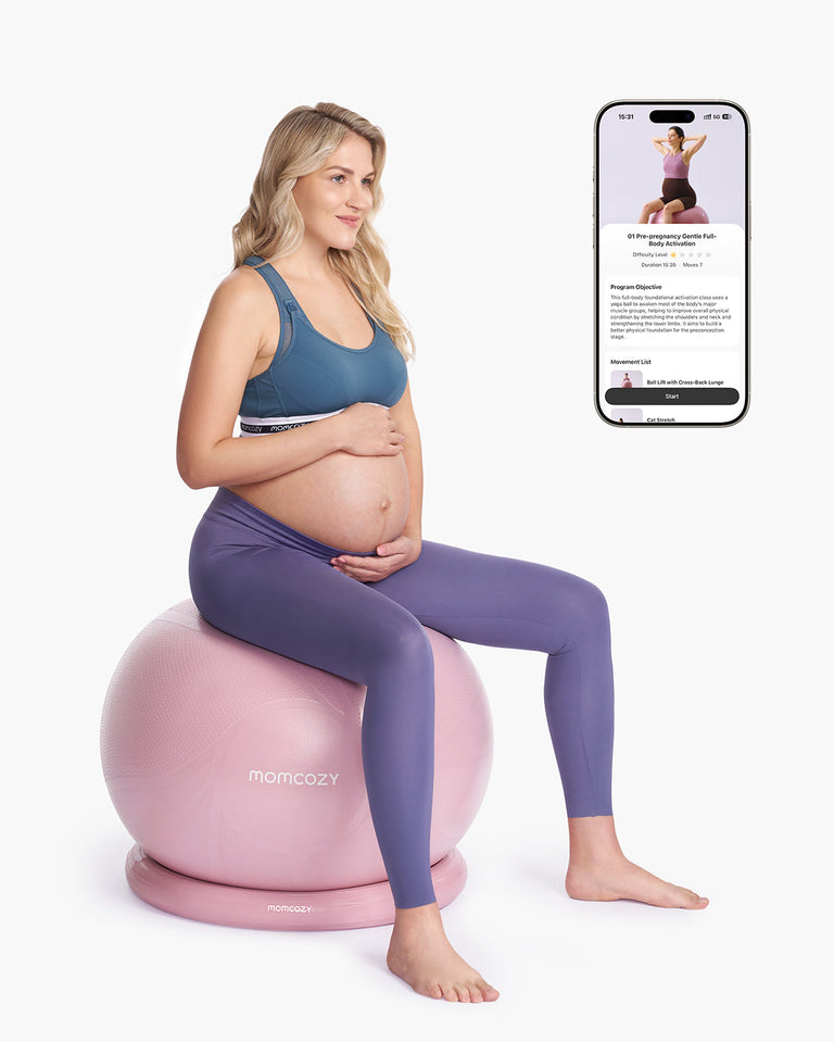 Translation missing: en.BirthEase Pregnancy Ball  Set— Birthing Ball
